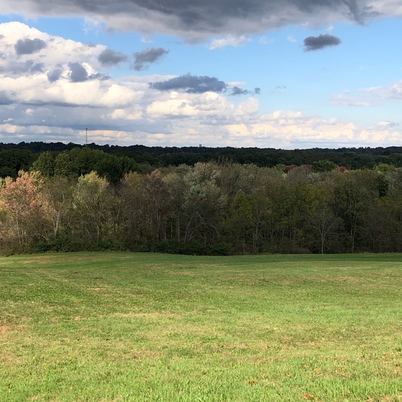 Meet your Posher, Amber - Picture 2 of 2